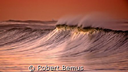 First Light/Canon 5D/Tamron 200-500mm lens/panned/Shot on... by Robert Bemus 